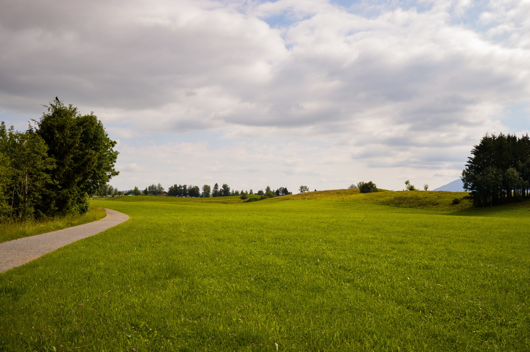 A rolling green pasture under open blue skies