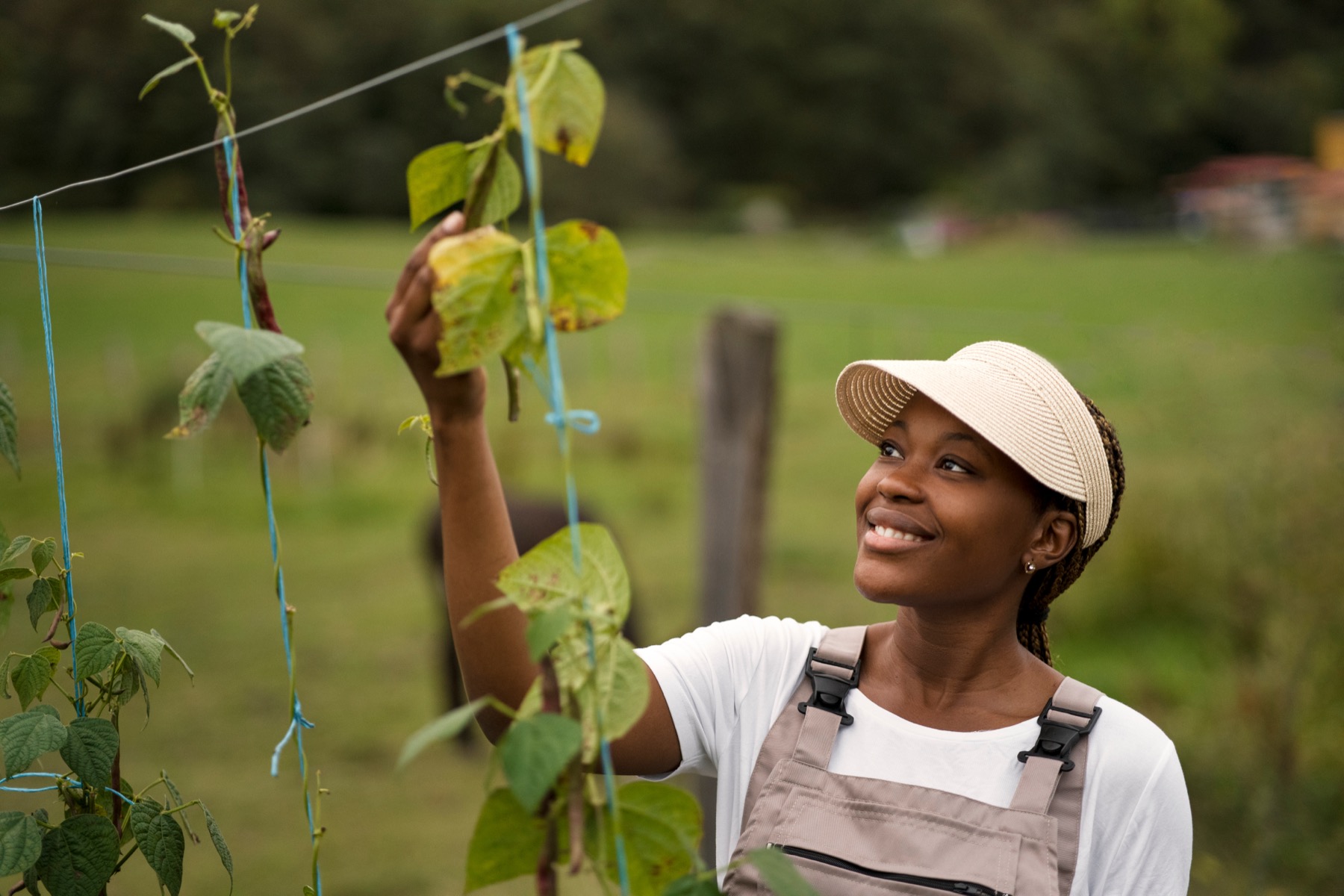 A smiling woman tending to bean plants in a sunny field