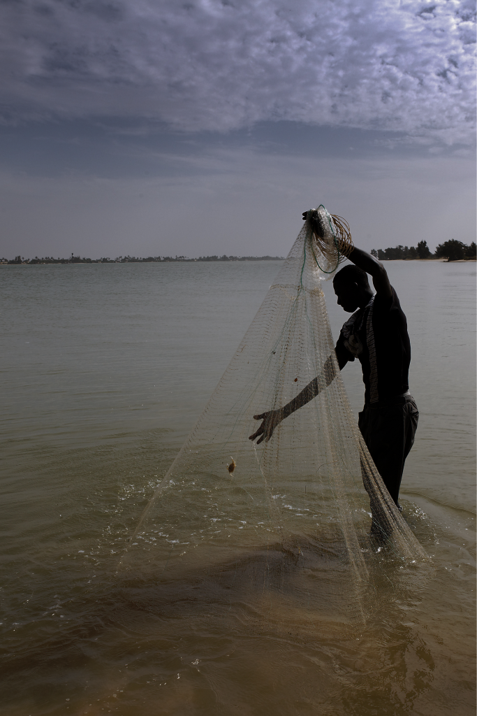 A fisherman casting a net in a river